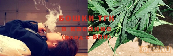 PSILOCYBIN Лабытнанги