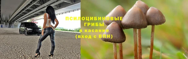 PSILOCYBIN Лабытнанги