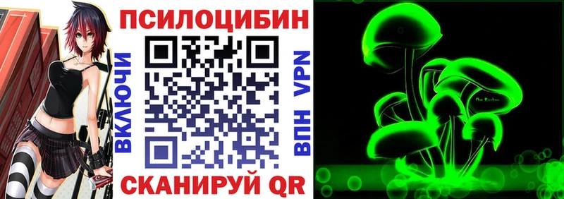 Купить  Мончегорск  Псилоцибиновые грибы MAGIC MUSHROOMS 